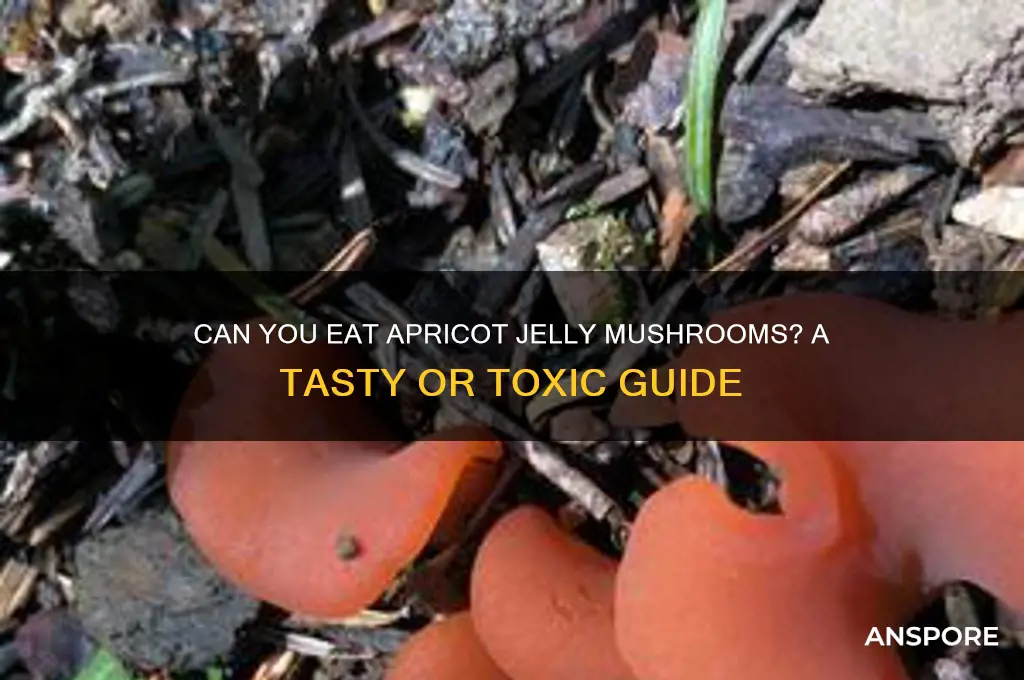 are apricot jelly mushroom edible