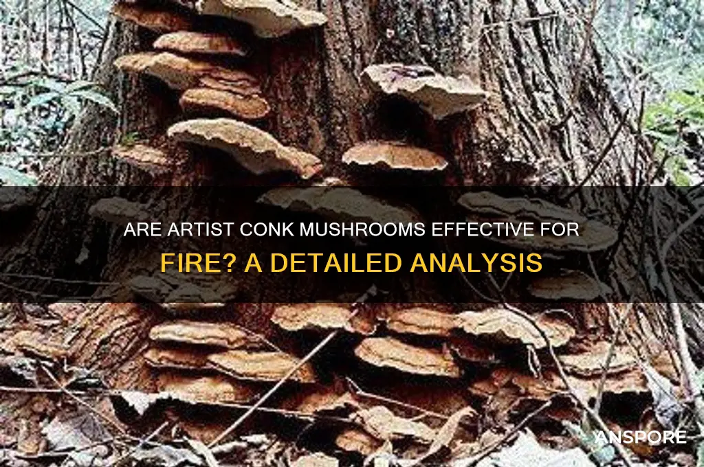 are artist convk mushrooms good for fire