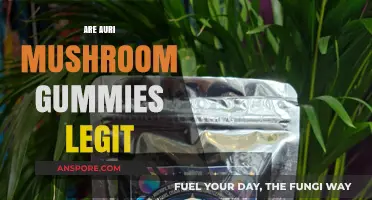 Auri Mushroom Gummies: Legit or a Scam?
