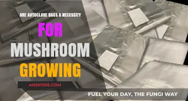Autoclave Bags in Mushroom Growing: Essential or Optional?