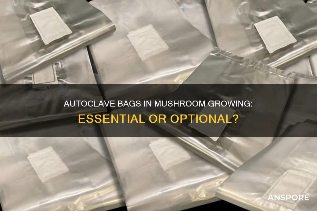 are autoclave bags a necessity for mushroom growing
