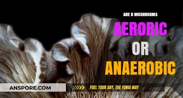 Are B Mushrooms Aerobic or Anaerobic? Unraveling Their Metabolic Mystery