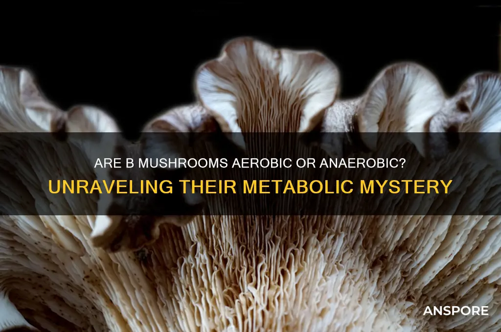 are b mushrooms aerobic or anaerobic