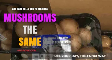 Baby Bella vs. Portabella: Unveiling the Mushroom Mix-Up