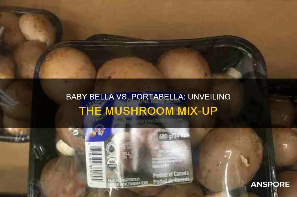 are baby bella and portabella mushrooms the same