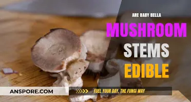 Can You Eat Baby Bella Mushroom Stems? A Tasty Guide