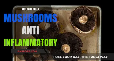 Baby Bella Mushrooms: Unveiling Their Anti-Inflammatory Potential and Health Benefits