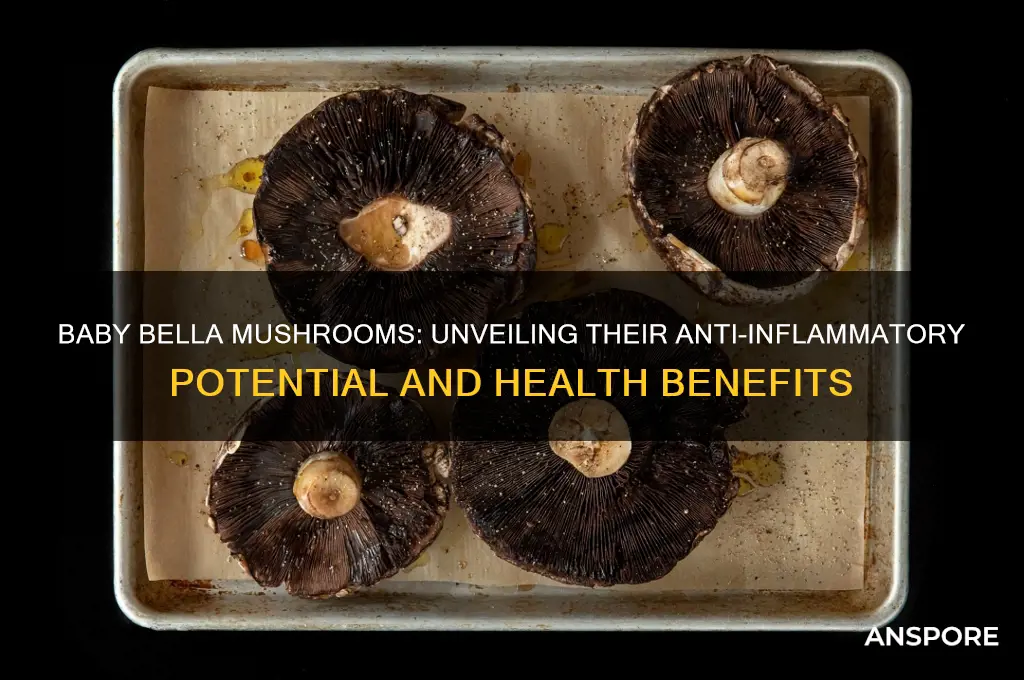 are baby bella mushrooms anti inflammatory