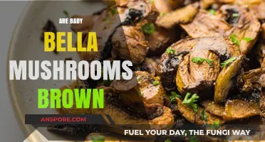 Baby Bella Mushrooms: Why Are They Brown?