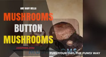 Baby Bella vs. Button Mushrooms: Unveiling the Tasty Truth