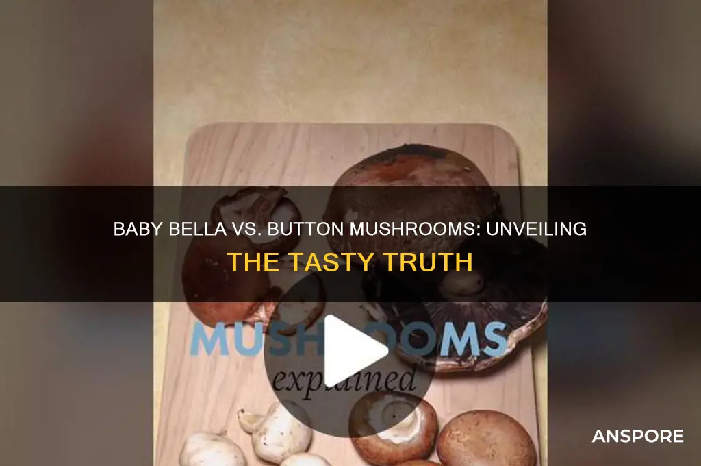 are baby bella mushrooms button mushrooms