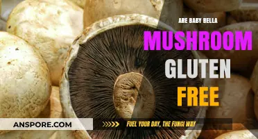 Are Baby Bella Mushrooms Gluten-Free? A Complete Guide