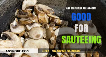 Sautéing Baby Bella Mushrooms: Tips, Benefits, and Delicious Recipes