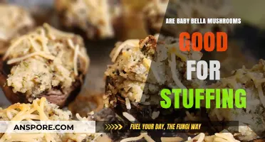 Stuffing with Baby Bella Mushrooms: A Delicious Culinary Adventure