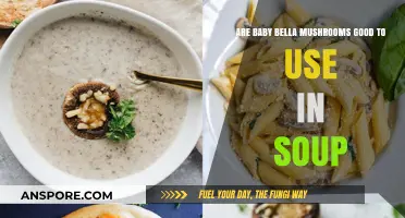 Baby Bella Mushrooms in Soup: Flavorful, Nutritious, and Easy to Use