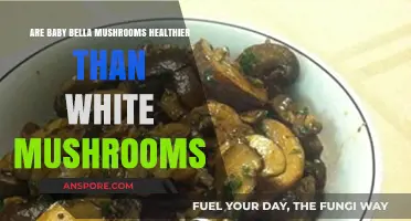 Baby Bella vs. White Mushrooms: Which is Healthier for You?