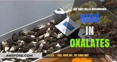 Baby Bella Mushrooms: Oxalate Content and Kidney Health Explained