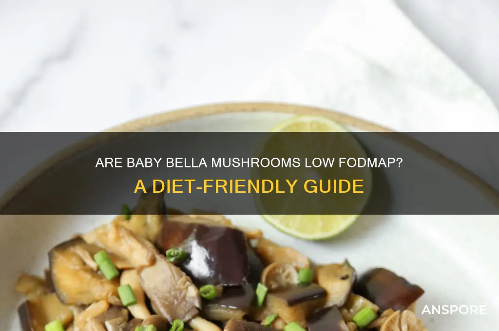 are baby bella mushrooms low fodmap