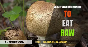 Can You Eat Baby Bella Mushrooms Raw? Safety Tips Revealed