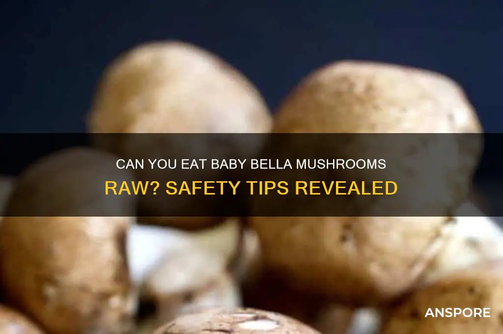 are baby bella mushrooms ok to eat raw