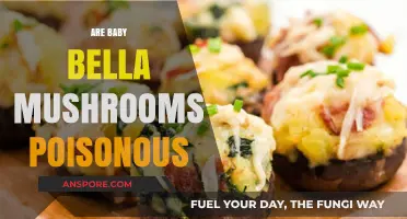 Are Baby Bella Mushrooms Poisonous? Uncovering the Truth About Cremini