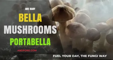 Baby Bellas: The Precursor to Portabellas