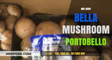 Baby Bella vs. Portobello: Unveiling the Mushroom Connection