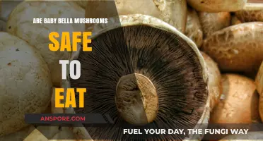 Are Baby Bella Mushrooms Safe? A Comprehensive Guide to Consumption
