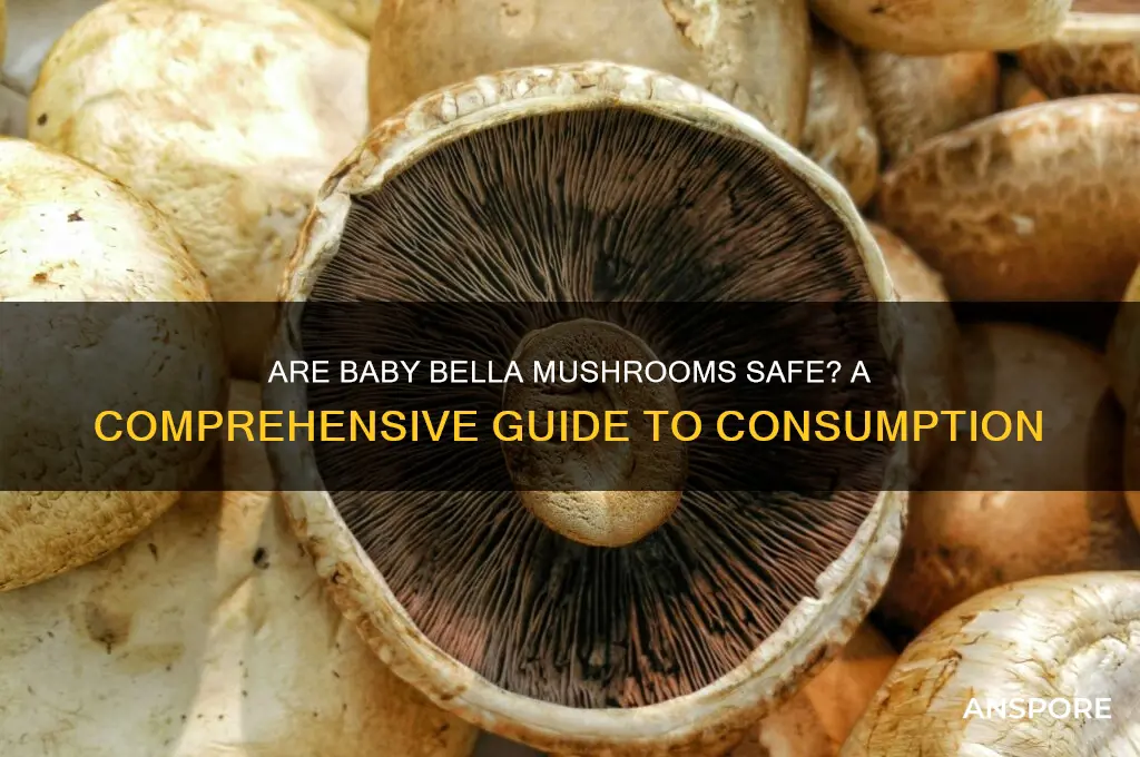 are baby bella mushrooms safe to eat