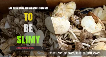 Are Baby Bella Mushrooms Supposed to Be Slimy? Facts Revealed
