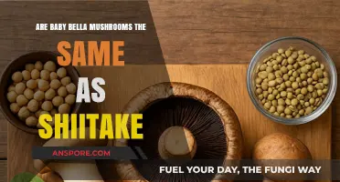 Baby Bella vs. Shiitake: Uncovering the Mushroom Mix-Up