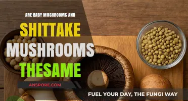 Baby Bella vs. Shiitake: Are These Mushrooms the Same?