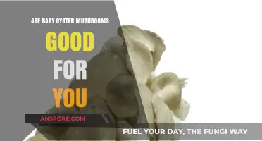 Baby Oyster Mushrooms: Nutritional Benefits and Health Advantages Explained