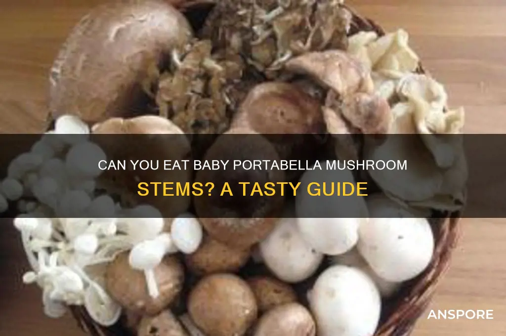 are baby portabella mushroom stalks edible