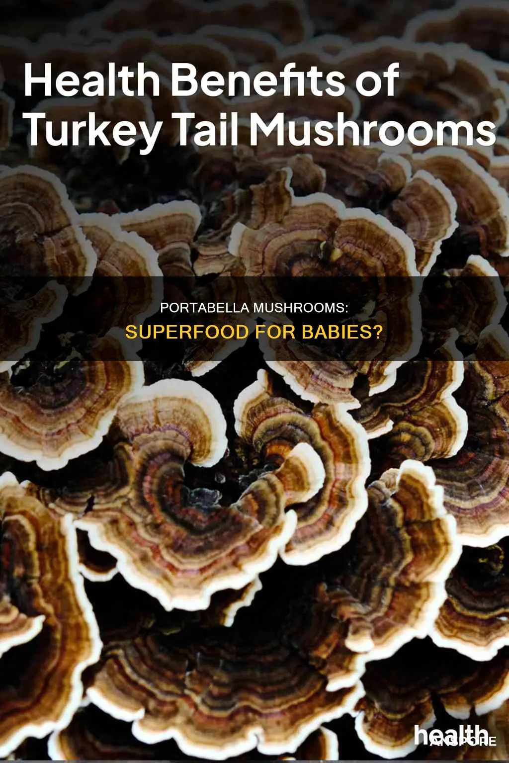 are baby portabella mushrooms healthy