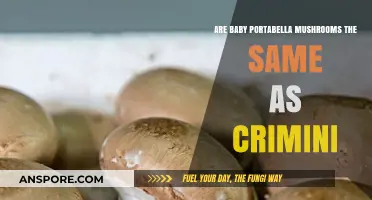 Baby Portabella vs. Crimini: Are They the Same Mushroom?