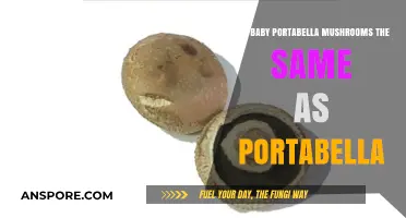 Baby Portabella vs. Portabella: Unveiling the Mushroom Mystery