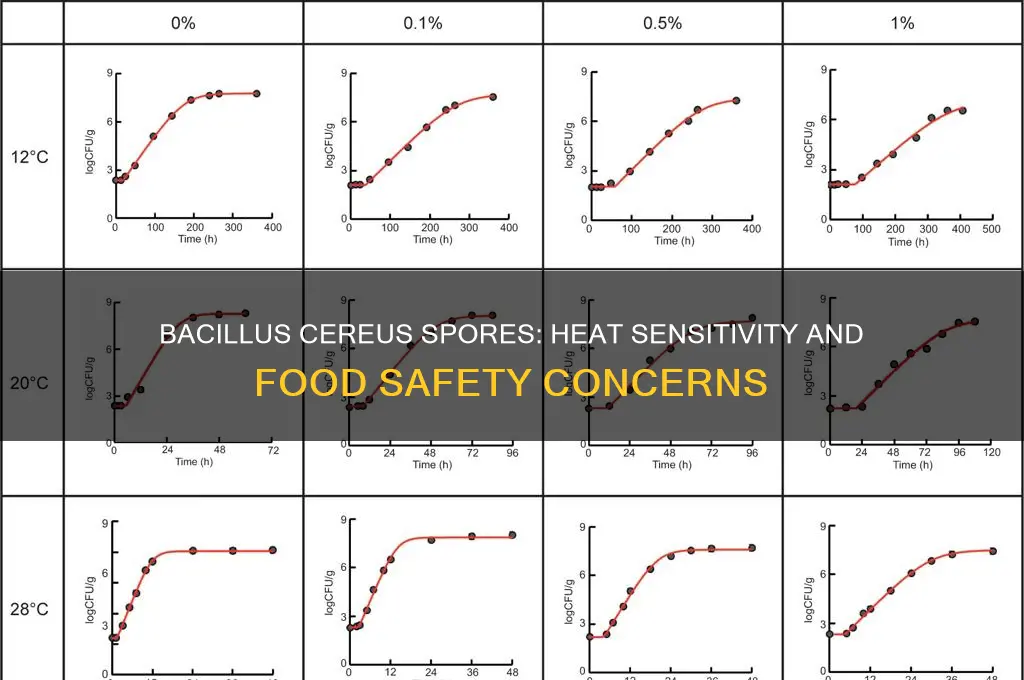 are bacillus cereus spores heat labile