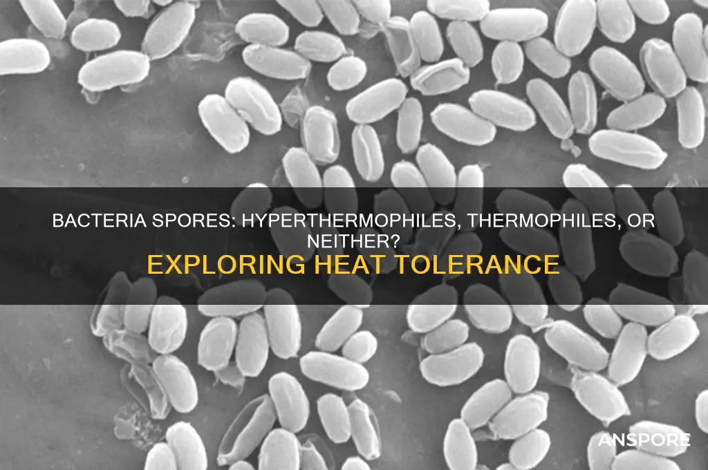 are bacteria spores hyperthermophiles or thermophiles