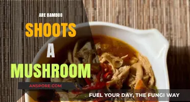 Bamboo Shoots: Mushroom or Not?