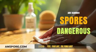 Are Bamboo Spores Dangerous? Uncovering the Truth and Potential Risks
