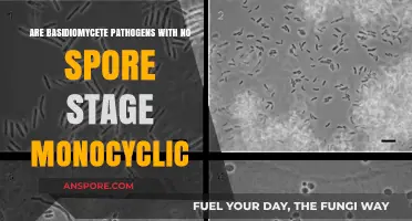 Basidiomycete Pathogens Without Spores: Monocyclic or Not?