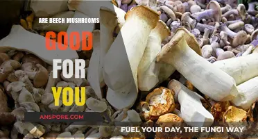 Beech Mushrooms: Unlocking Nutritional Benefits and Health Advantages