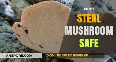 Beefsteak Mushrooms: Are They Safe to Eat?