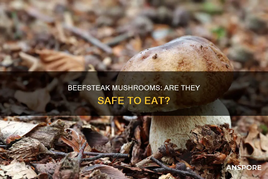 are beef steal mushrooms safe
