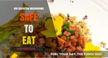 Are Beefsteak Mushrooms Safe? A Guide to Edibility and Risks