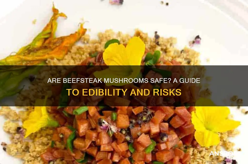 are beefsteak mushrooms safe to eat
