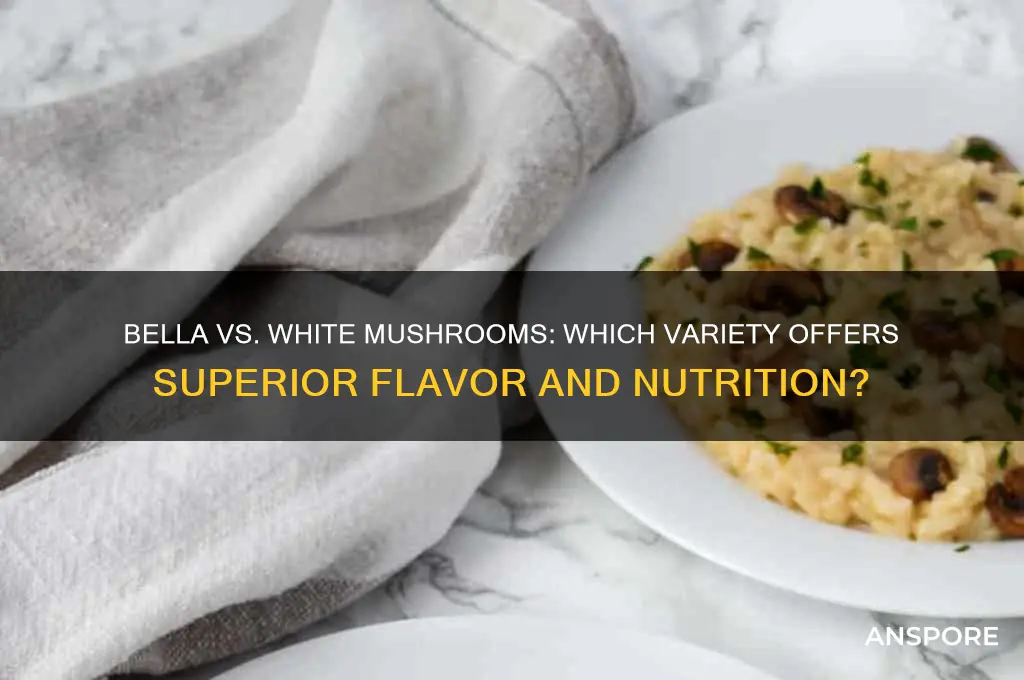are bella mushrooms better than white