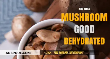 Dehydrated Bella Mushrooms: Nutritional Value, Benefits, and Culinary Uses Explored