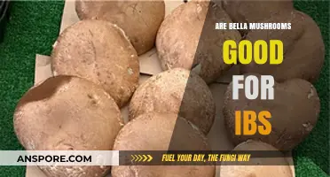 Bella Mushrooms and IBS: Benefits, Risks, and Dietary Tips
